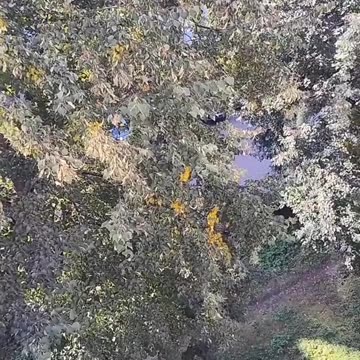 Putin? Bombs? Fear? Death?