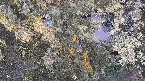 Putin? Bombs? Fear? Death?