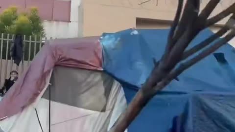 'Gavin Newsom Does Not Want You to See This...': Benny Johnson