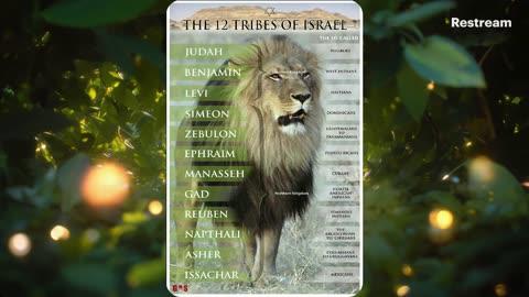 The "RAPTURE" never came, Part 2: The importance of the PROPHETS.