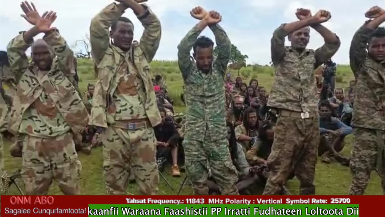 Gabaasa Addaa ONM-ABO Onkoloolessa 19-2025 itti dhiyaadhaa!