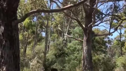 Parkour with Emojis. Pt 22