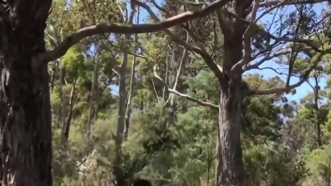 Parkour with Emojis. Pt 22