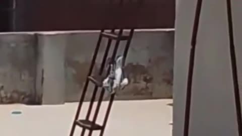 Airplane crashed in Gujarat
