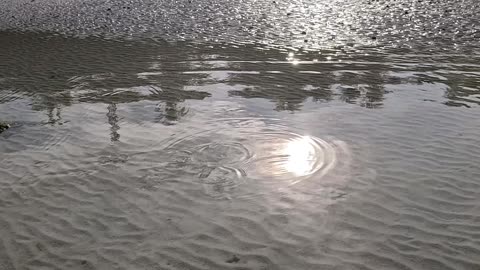 I Moved to the Philippines… Now I Live in the Water 🌊 Why I Chose This Life