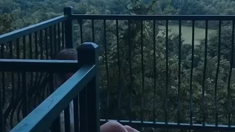 Trending: Her reaction to this proposal is awesome 👏❤️