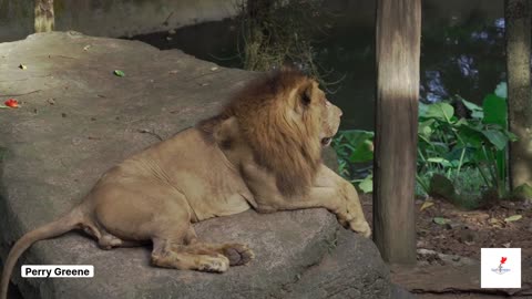 Ghosts in the Darkness