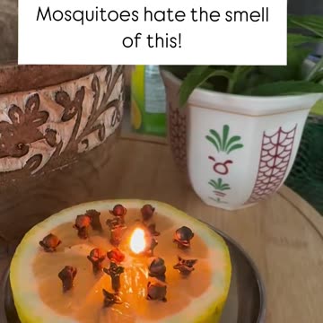 👍🏻 Natural bug repellent hack! 🦟🍋