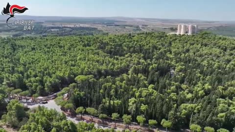 Ad Andria una base di ladri d'auto: scattano quattro arresti