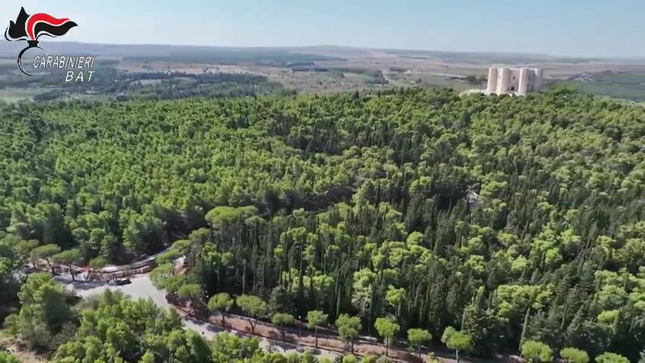 Ad Andria una base di ladri d'auto: scattano quattro arresti