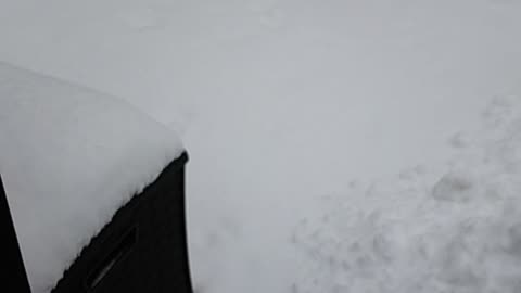 Mother Nature supplied a great work-out today!!!