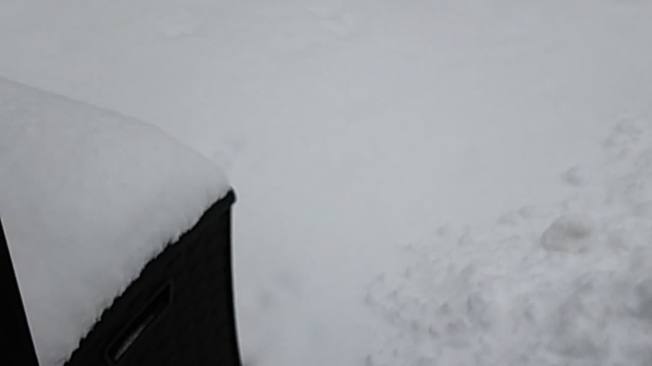 Mother Nature supplied a great work-out today!!!