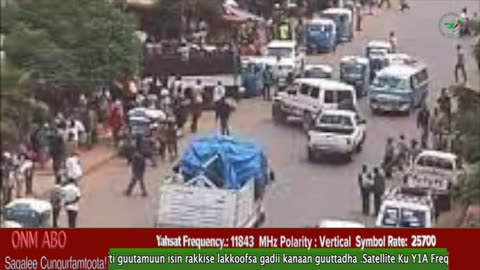 Oduu Ganama ONM-ABO Amajjii 24-2025 itti dhiyaadhaa!