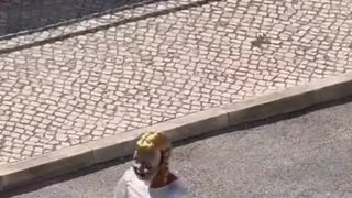 😂🐱 Annabelle's Hunt for a New Home! | FunFM