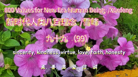 800 Values for New Era Human Being（99）