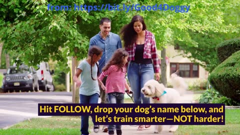 Dog Trainers Shocked - Transform Your Dog’s Behavior with This Simple Trick