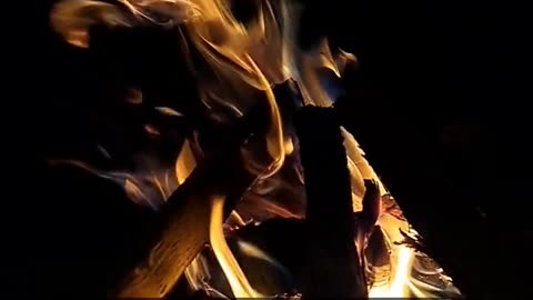 Daily Horoscope | Aries 🌟