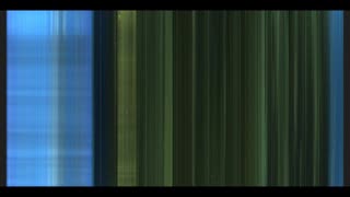 25 Nov 2025 AllSky Timelapse Rpi5 - Delta Junction, Alaska #allsky #allskycamera