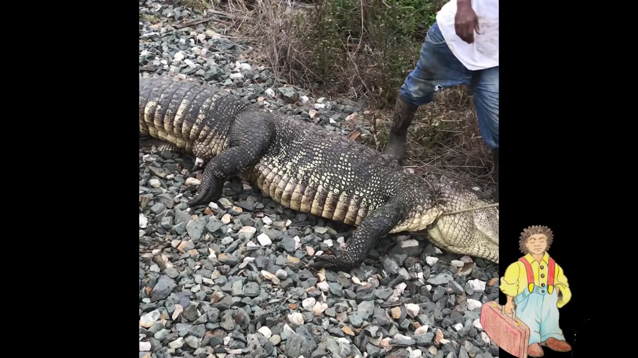 Family Day At The Park