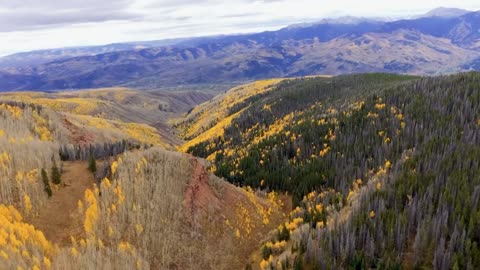 Soft R&B Beats for Focus