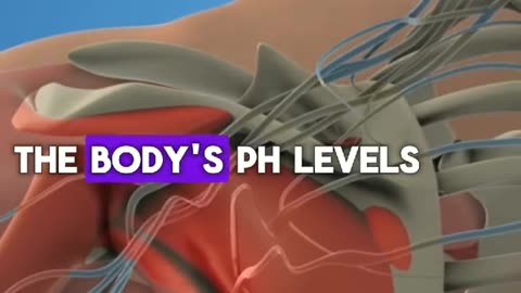 5 Drinks To Repair nerves, Apple Cider Vinegar