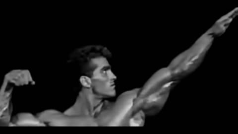 THE ART OF BODYBUILDING