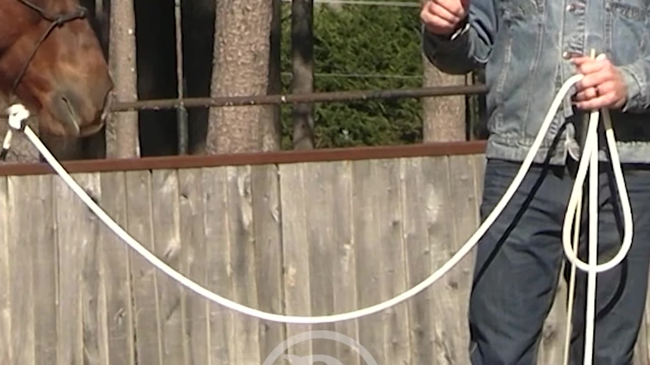 Leading good means riding good.