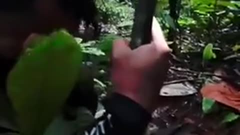 Biologist becomes emotional after finding a flower after searching for 13 years