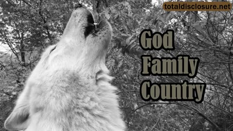 Under Siege: The Kalergi Plan (Trailer) ⚔️ TotalDisclosure.NET ⚔️