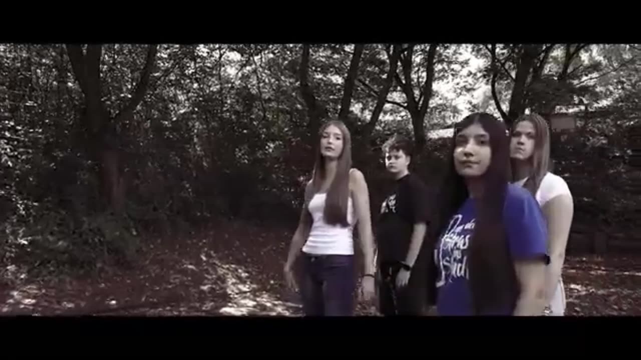 VDSIS - WILLKOMMEN ZUR SHITSHOW (Legendär mukke 2025 Video )