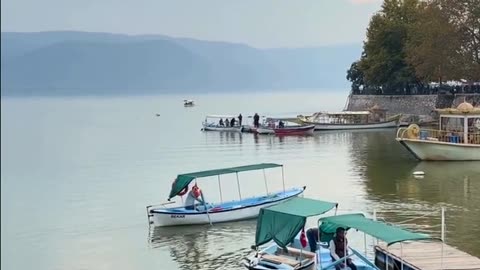 Daily Horoscope | Gemini 🌟