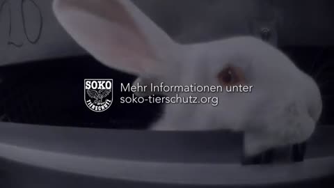 Tierquälerei Asamhof in Kissing
