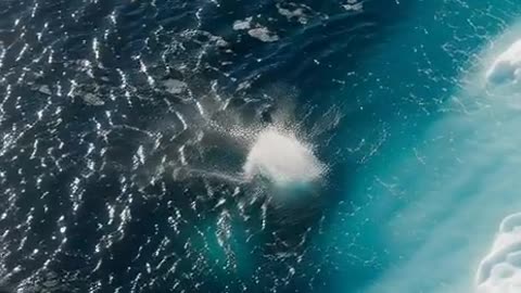 A seal perched on a tall, jagged iceberg peak in the polar region