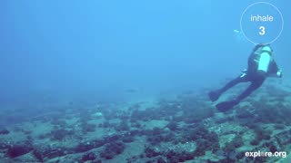 10 Minute Deep Relaxation And Breathing Exercise | Drift Underwater