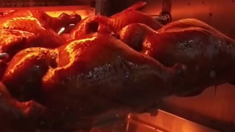 Funny and Cute: Billy and Sol's Daily Dog Escapades 🐶🐶