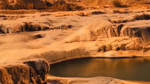 Walking the Dunes: A Desert Hiking Adventure"