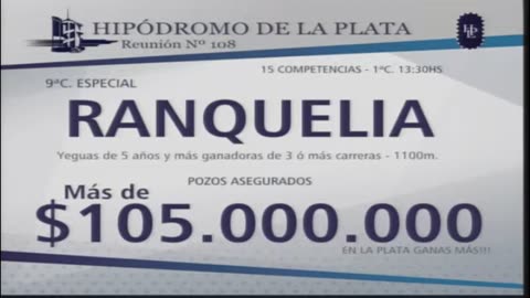 Turf en Vivo 21/11/25