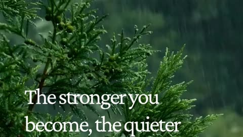 The Stronger You Become, The Quieter Your Energy Gets