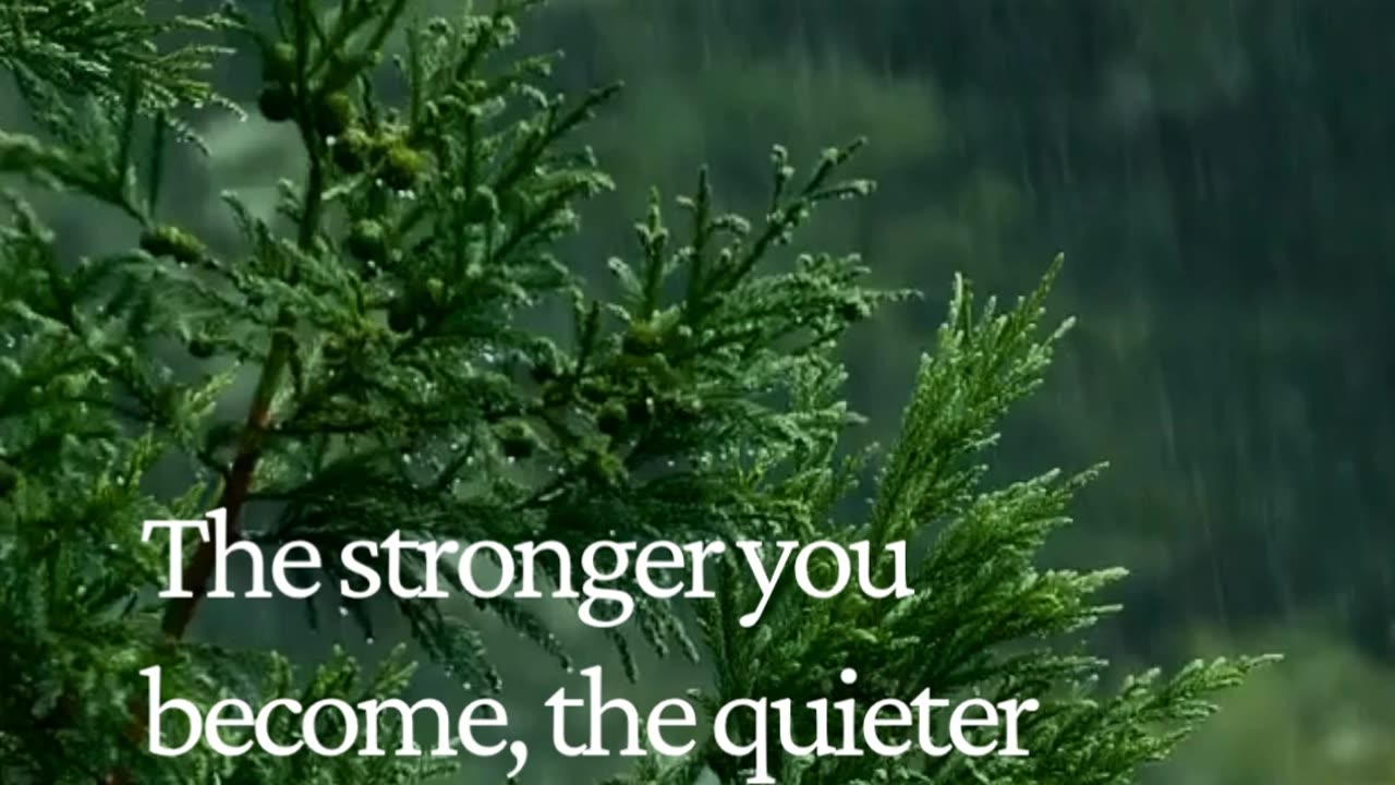 The Stronger You Become, The Quieter Your Energy Gets