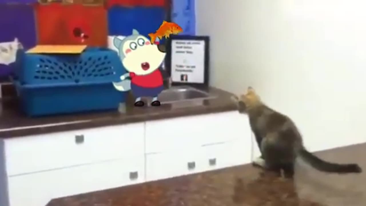 π¨ STOP THE FIGHT! π
ββοΈ Police Wolfoo Intervenes! π¨ Hilarious Showdown: Police Wolfoo vs Funny Dogs & Cats! πΎπΉ Wolfoo in Real Life: Unleashing Laughter and Joy! πΆπ±