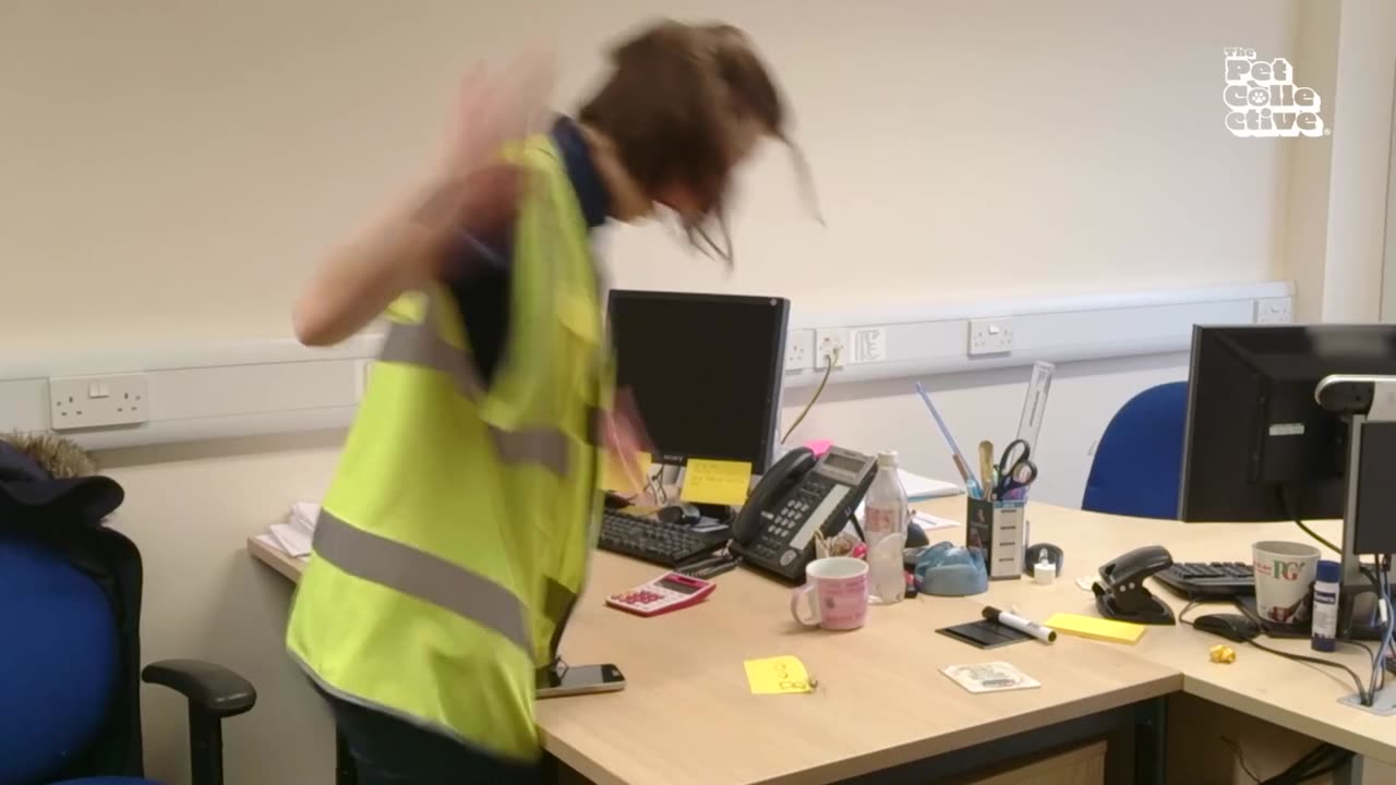 BEST Spooky Pet Videos! 👻🐶🐱 30 Mins NON-STOP Laughs! FOLLOW & LIKE for Daily Pet Fun! 🤣