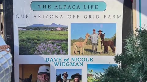 Fountain Hills Art Expo 2025