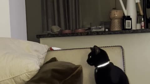 😨👻 Paranormal or Just Dust? Need Your Help! 🤔 | TheHauntingHour