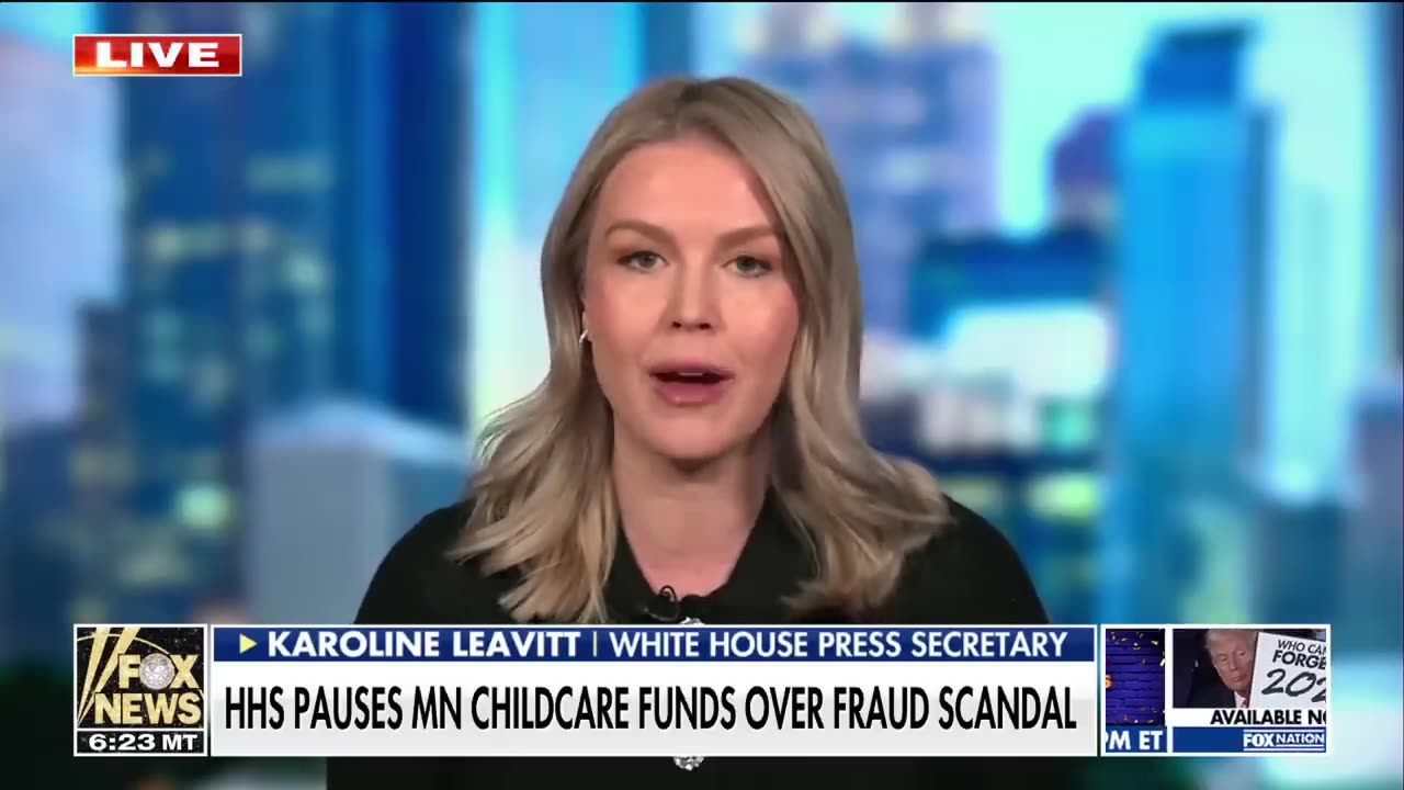 Karoline Leavitt: 'PEOPLE WILL BE IN HANDCUFFS'