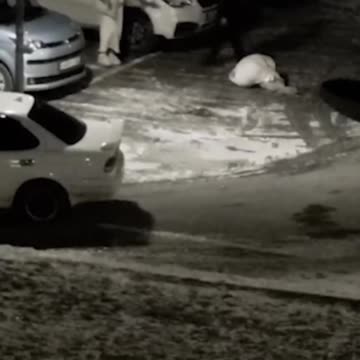 With All the Men Sent to Fight in Ukraine, Woman Now Have to Outsource Their Beatings