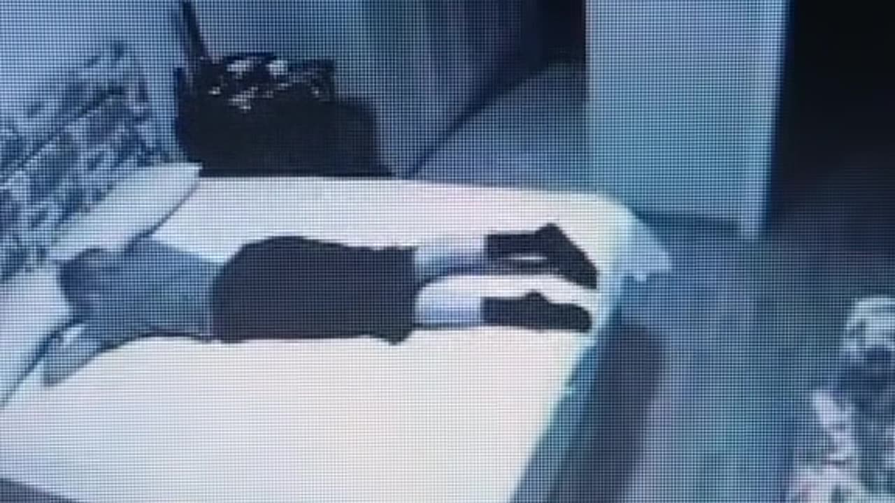 😱👻 They Thought They Were Alone... But Then This Happened | Possessed | TheHauntingHour