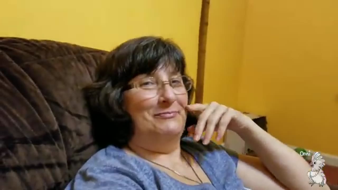 Cockatoos - Night Sounds