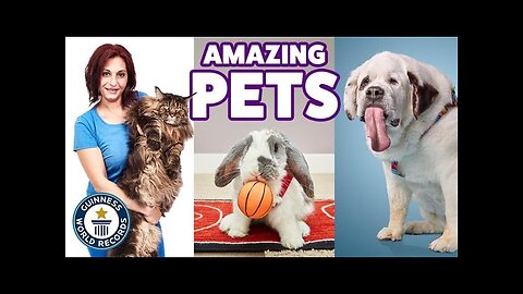 Amazing pets - Guinness World Records