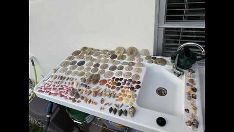 Beach Finds 12/7/2025 | 4K