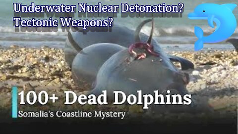 100+ Dead Dolphins Found on Somali Coast, Cause a Mystery | E/Q Volcano Related? Tectonic Weapons?